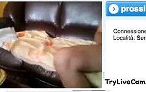 Kitten wants love at trylivecam