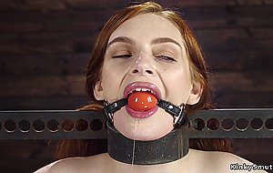 Brunette in doggy device anal toyed