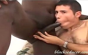 Cute white guy sucking huge black dick and doing some ...