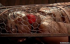 Master zappers ebony slave in cage