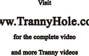 Titty tranny gets fucked after sucking